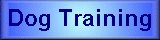 Training a dog
