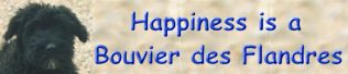 Verwenden Sie diesen Banner f�r einen Link auf diese Seite